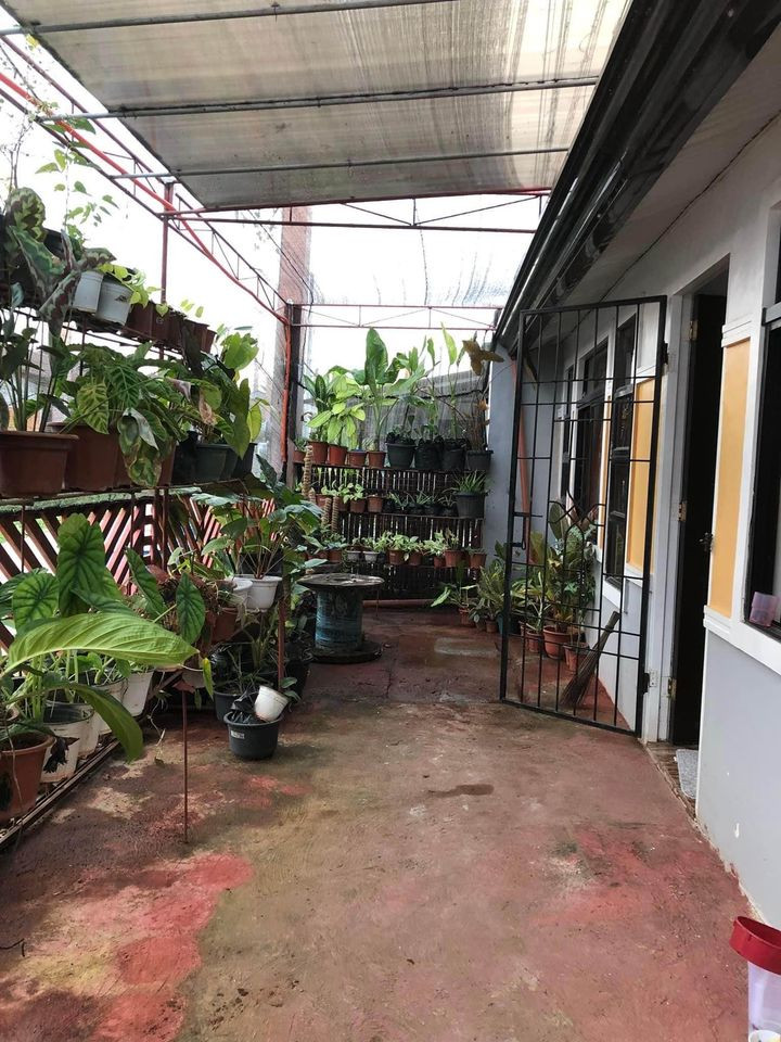 Gallery 2