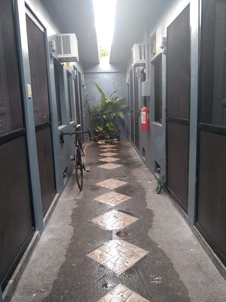 Gallery 2