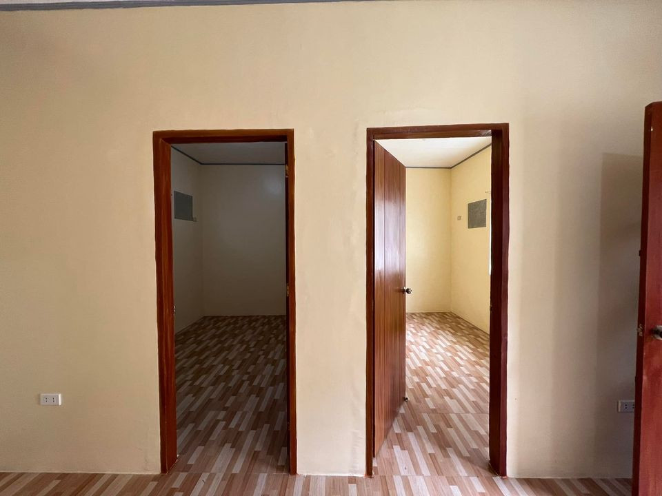 Gallery 5