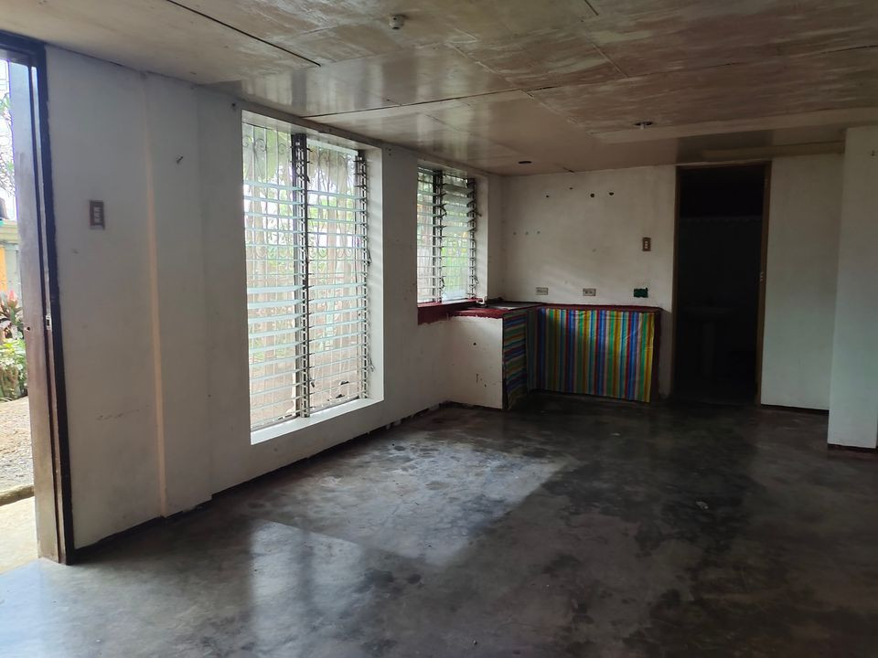 Gallery 3