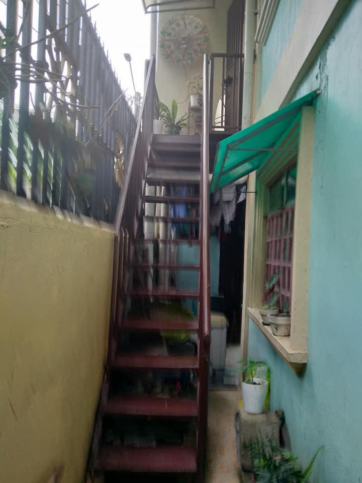 Gallery 4