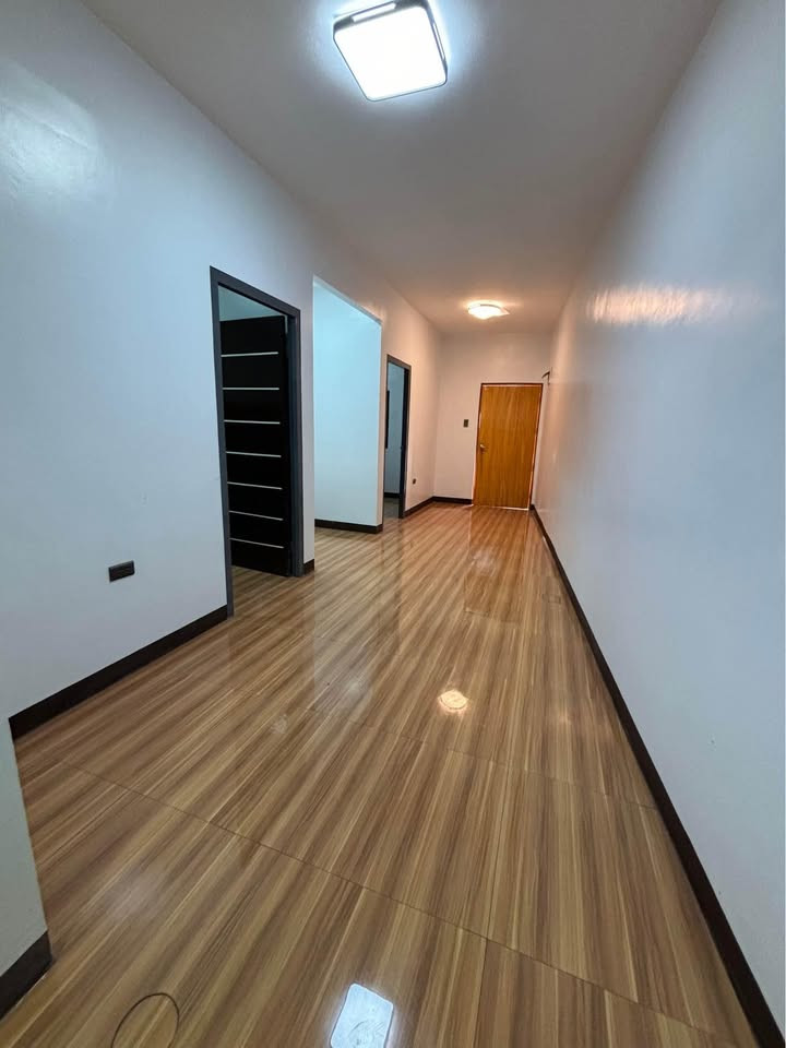 Gallery 3
