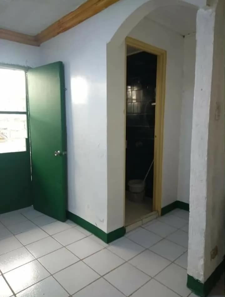 Gallery 4