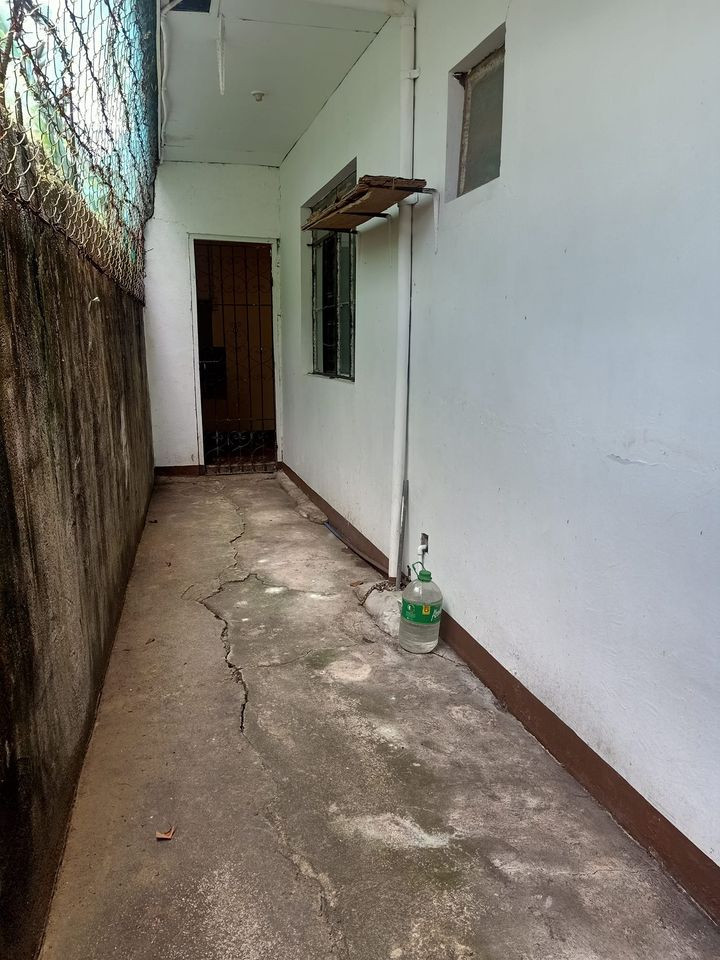 Gallery 3