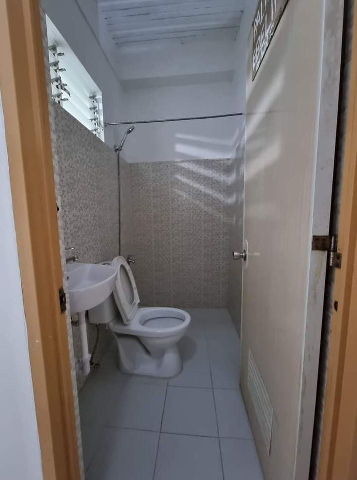 Gallery 3