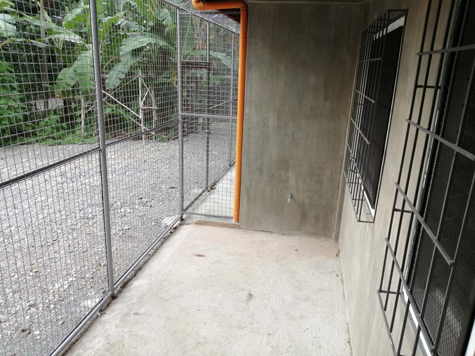 Gallery 2