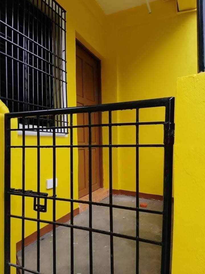 Gallery 4