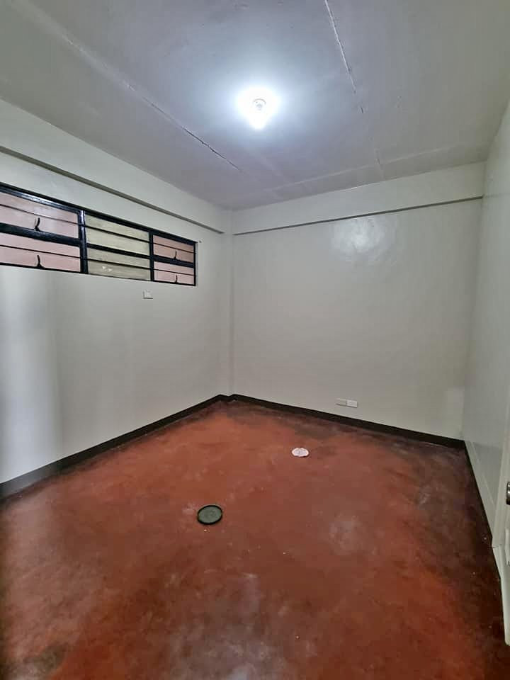 Gallery 4