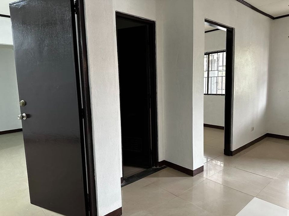 Gallery 3
