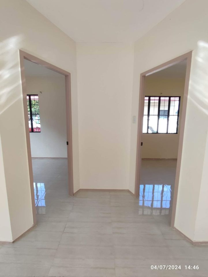 Gallery 3