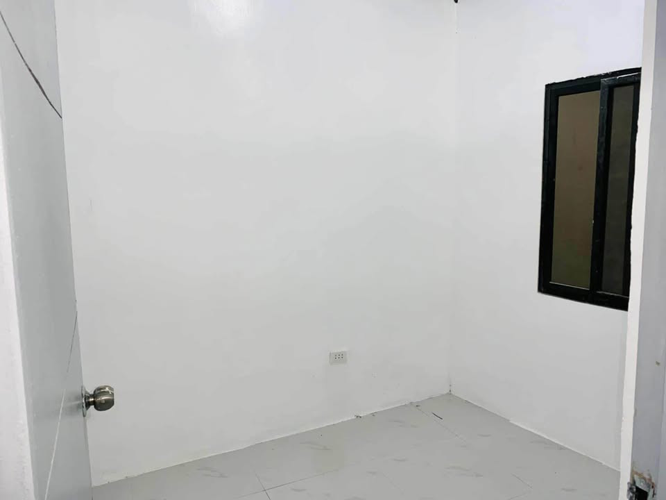 Gallery 5