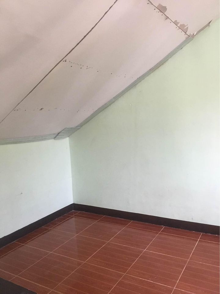 Gallery 4