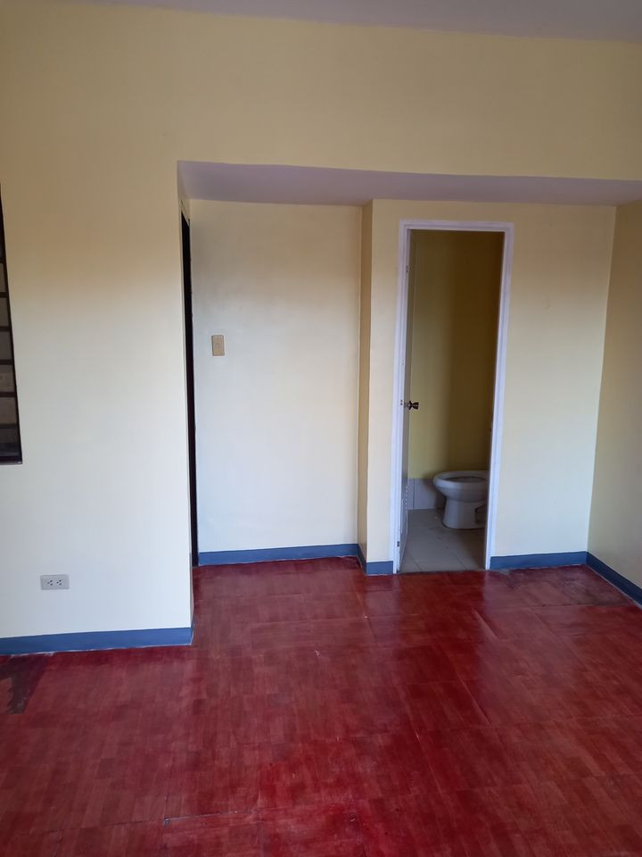 Gallery 4
