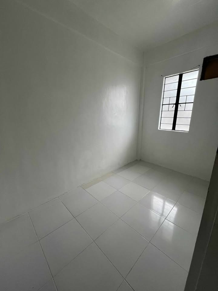 Gallery 4