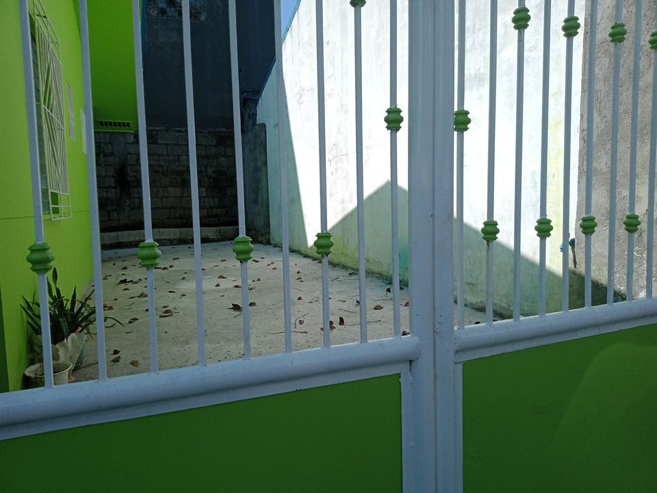 Gallery 5