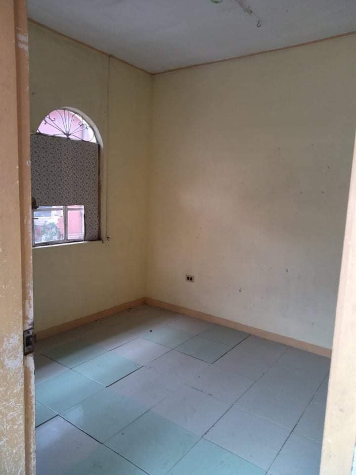 Gallery 3