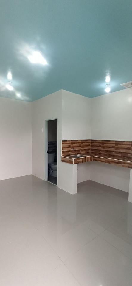 Gallery 5