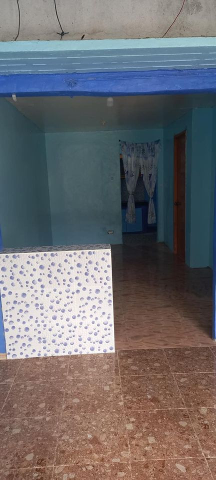 Gallery 5