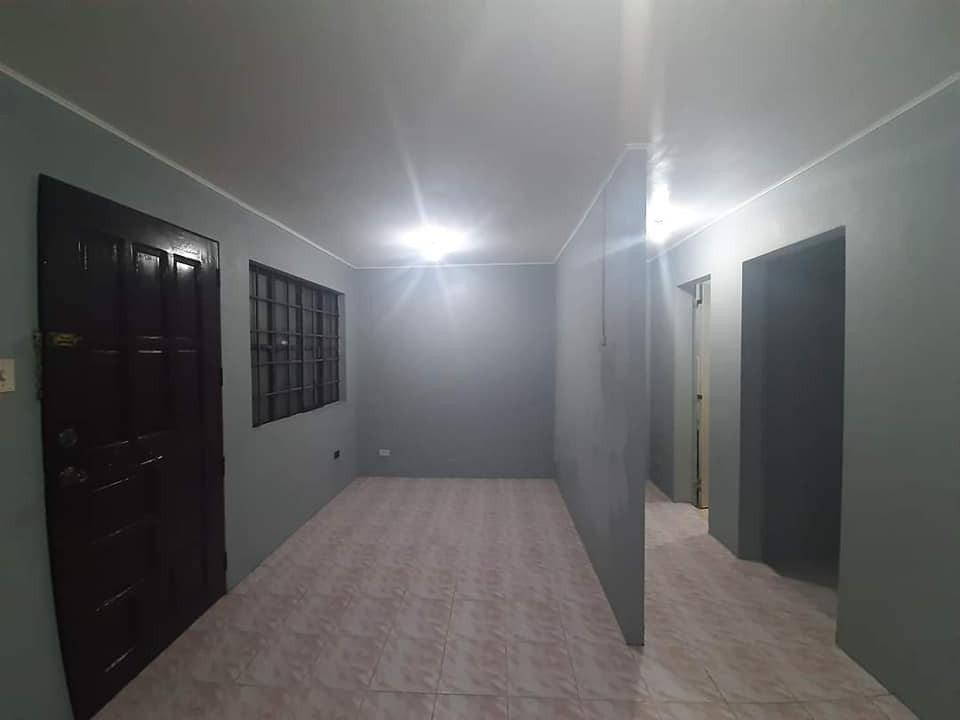 Gallery 5