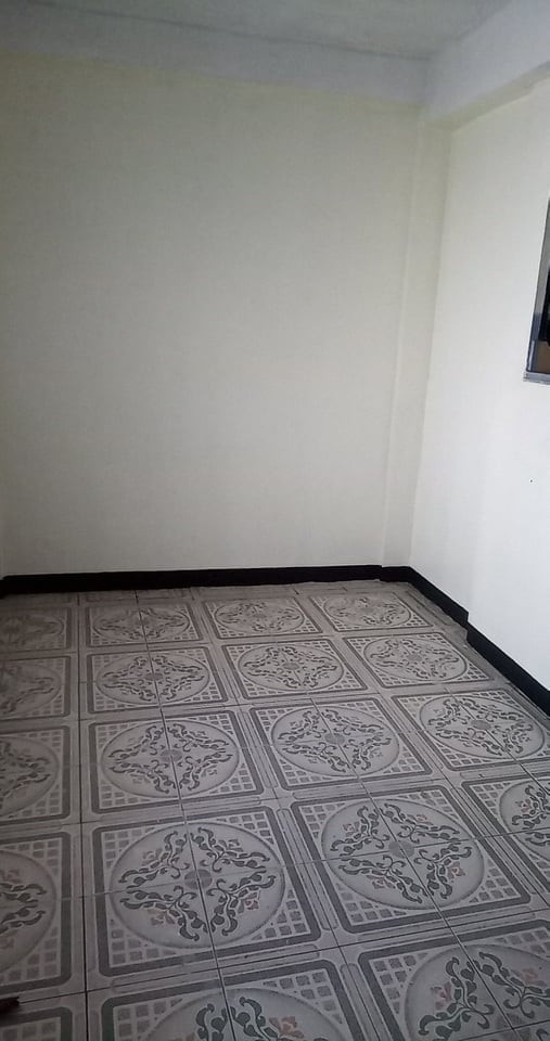 Gallery 5