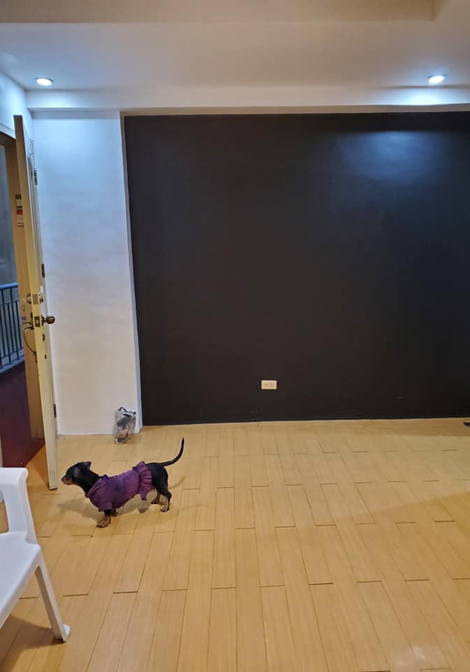 Gallery 3