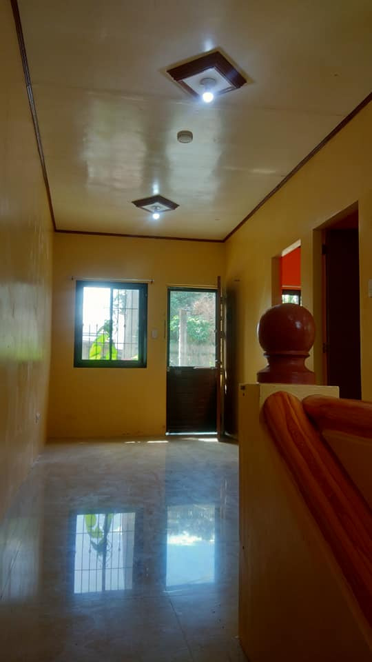 Gallery 4