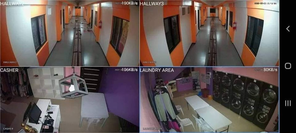 Gallery 5