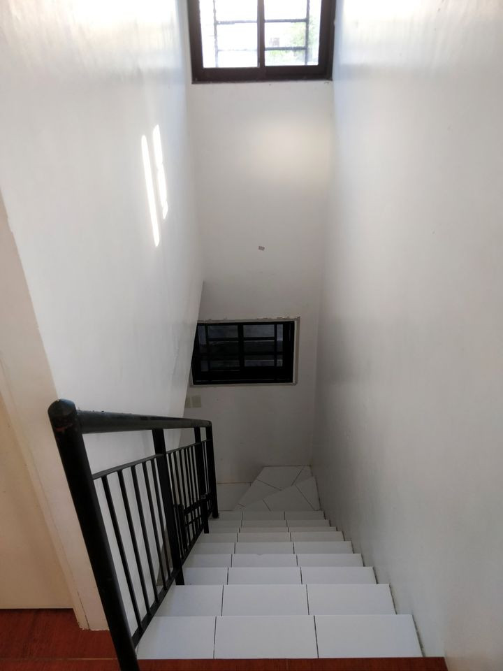 Gallery 4