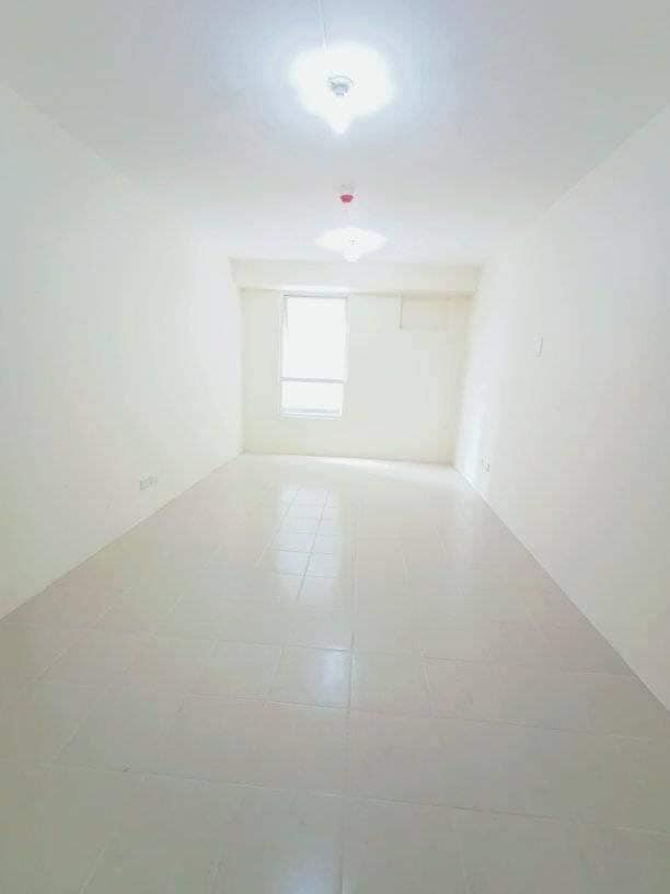 Gallery 5