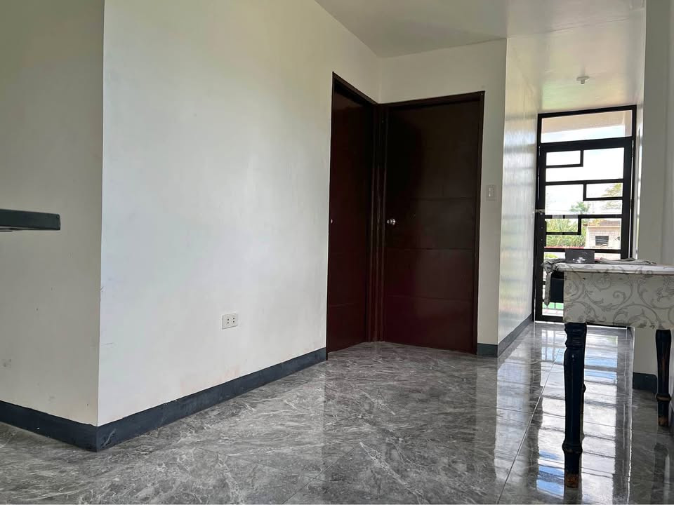 Gallery 5