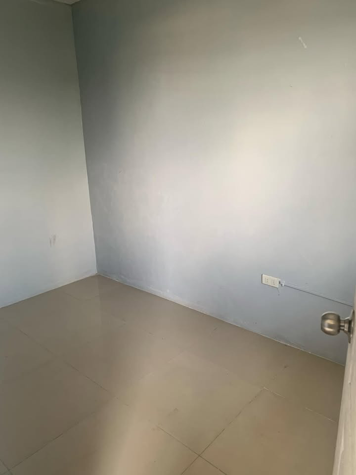 Gallery 3