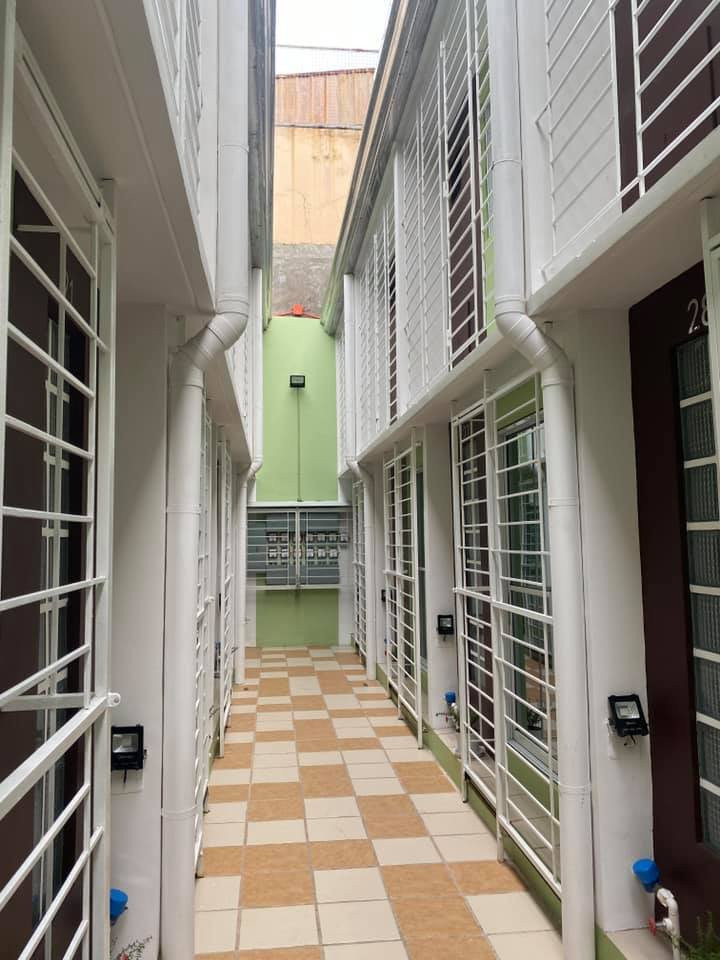 Gallery 3