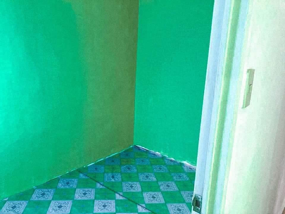 Gallery 4