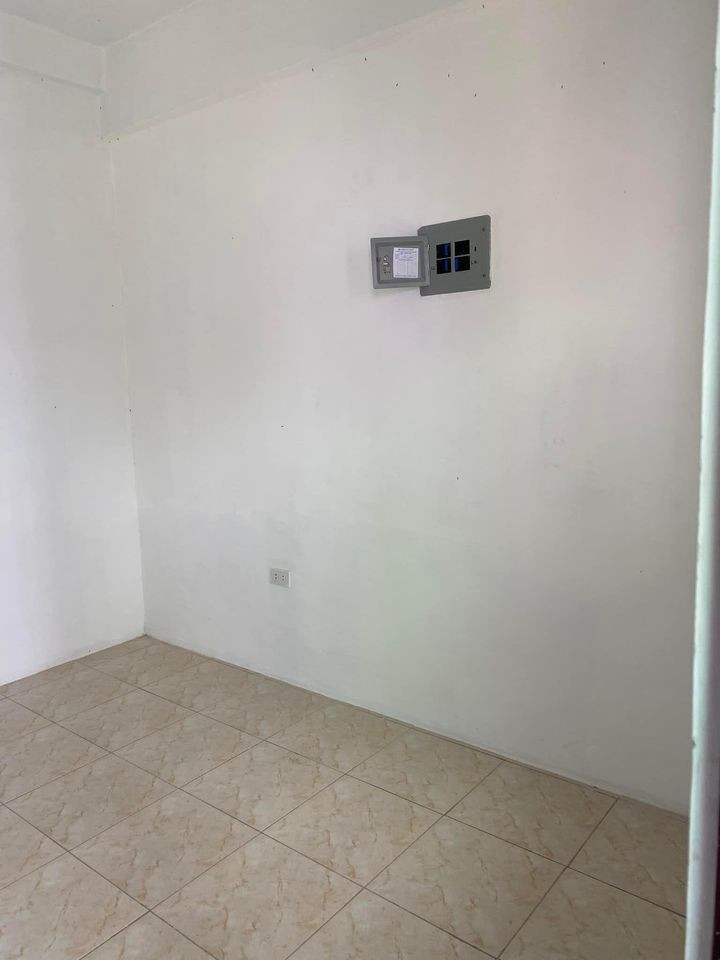 Gallery 5