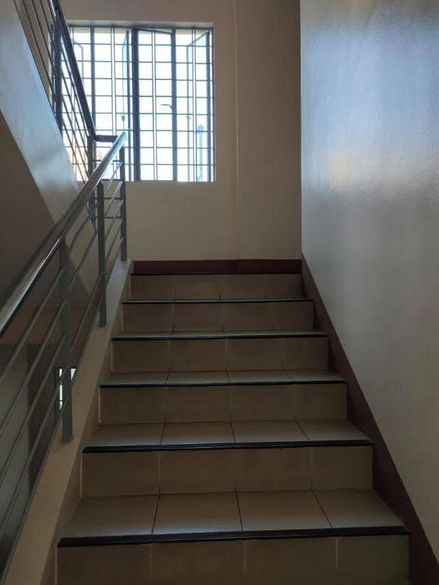 Gallery 5