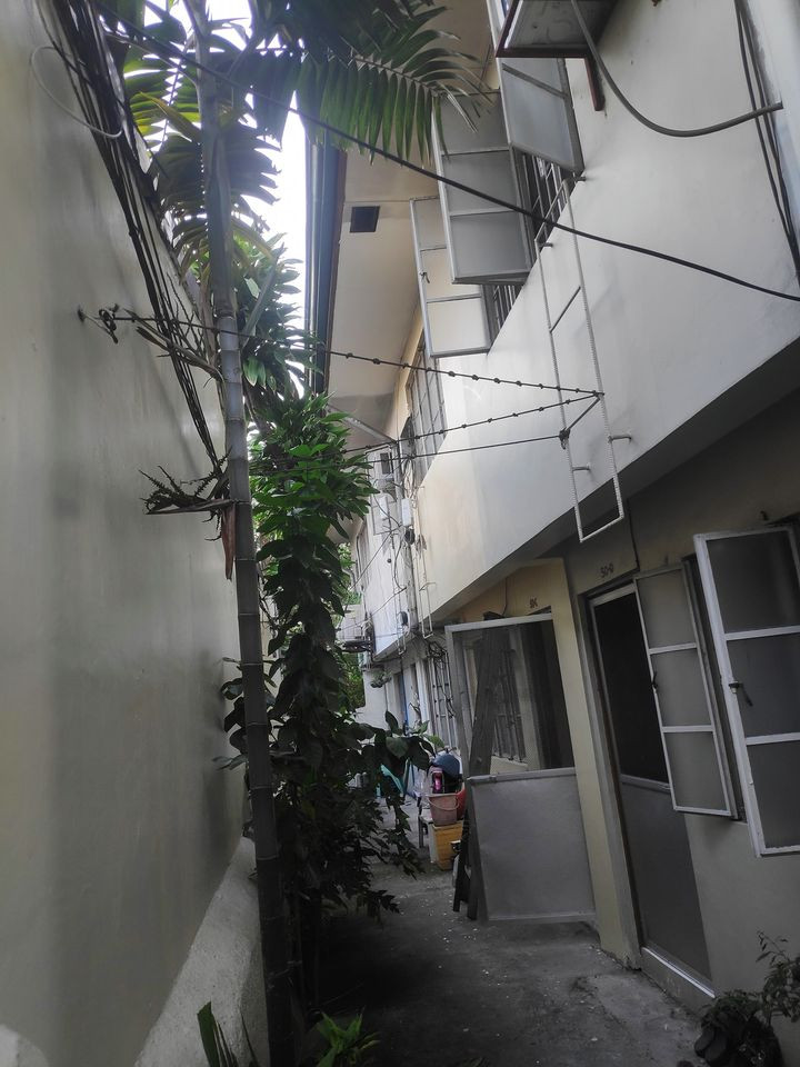 Gallery 4