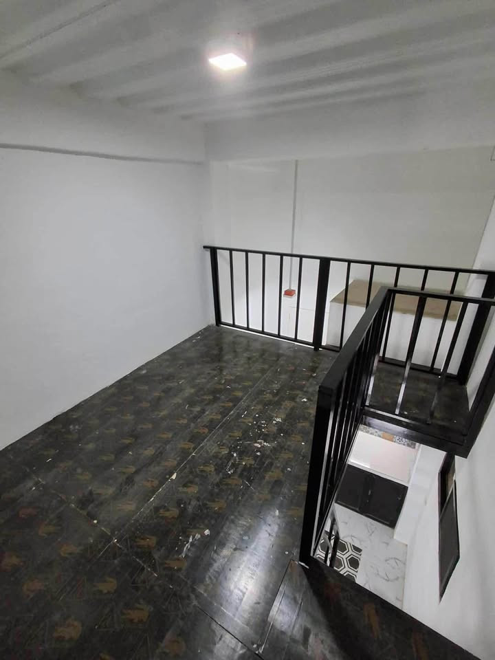 Gallery 3