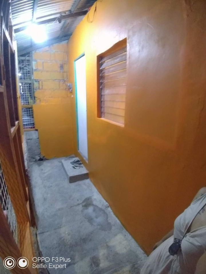 Gallery 5