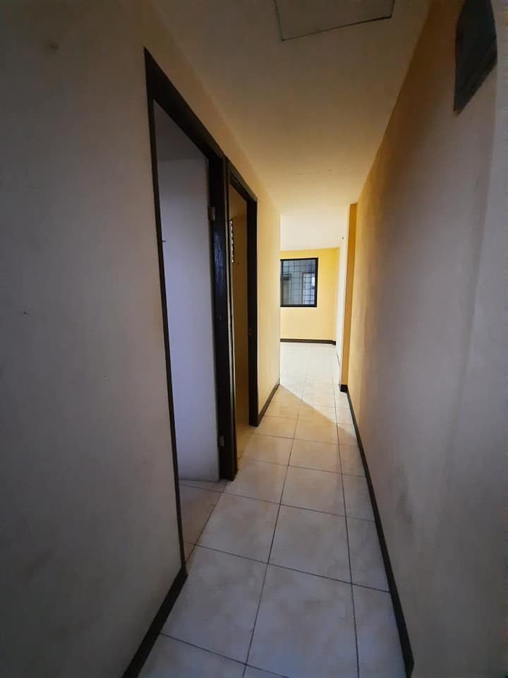 Gallery 4