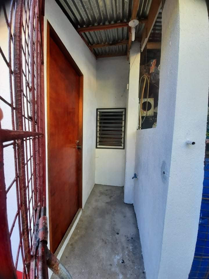 Gallery 5