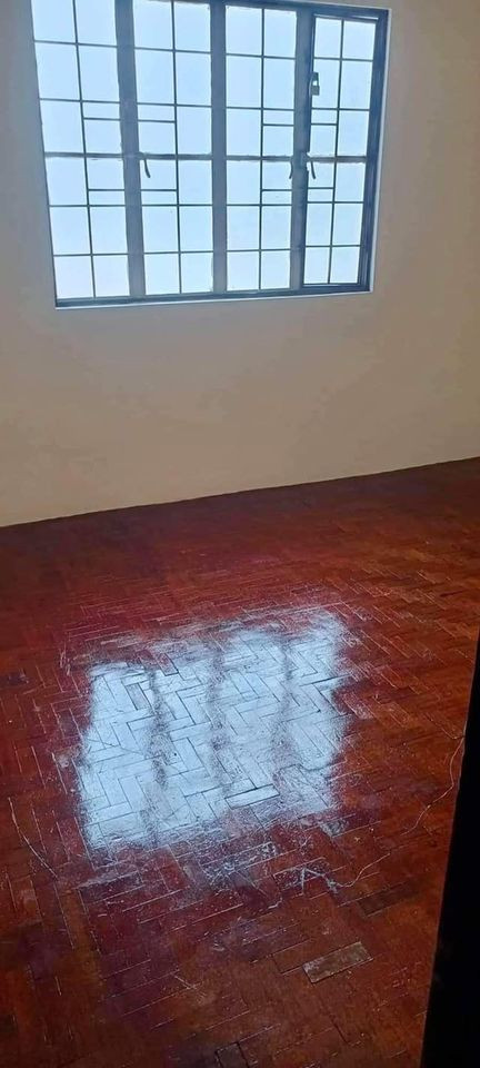 Gallery 5