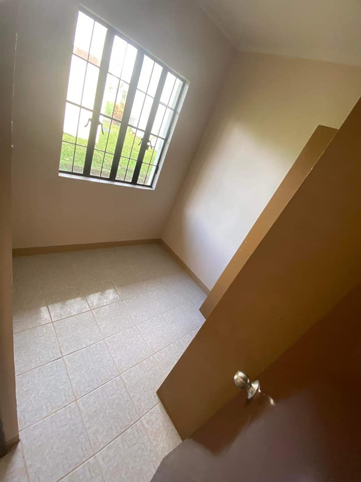 Gallery 5