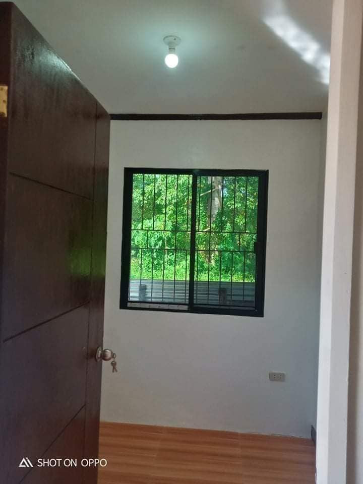 Gallery 5