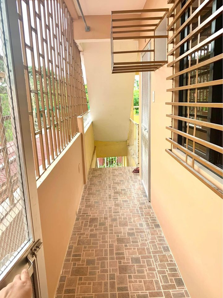Gallery 3