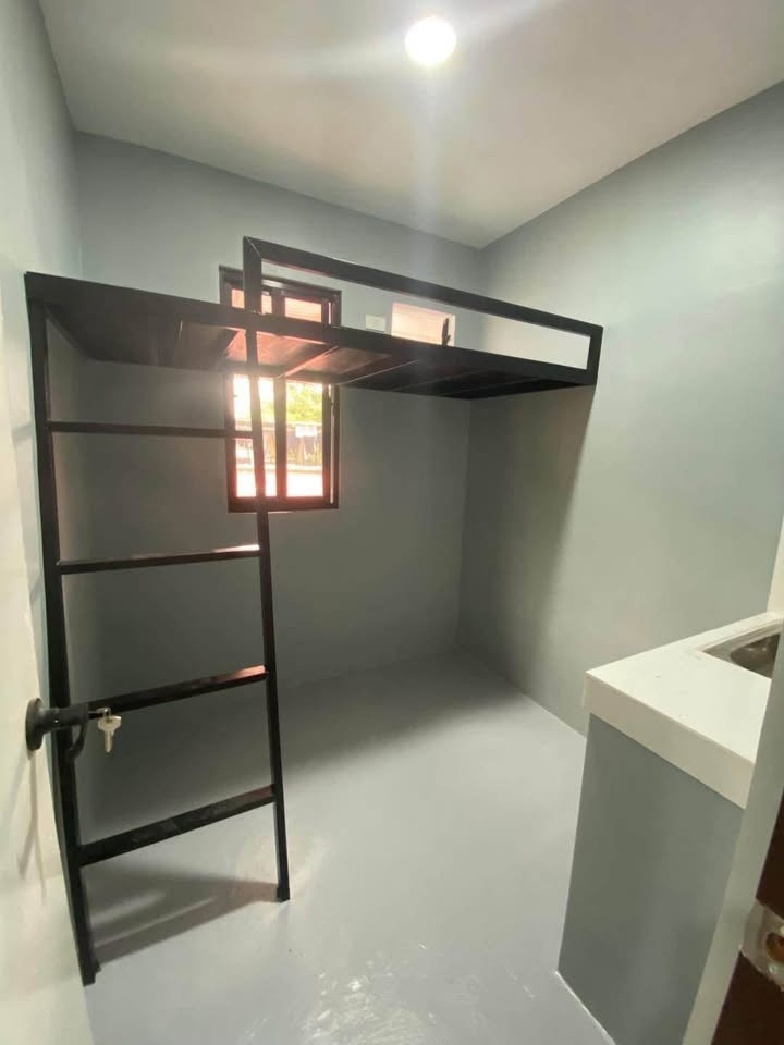 Gallery 2