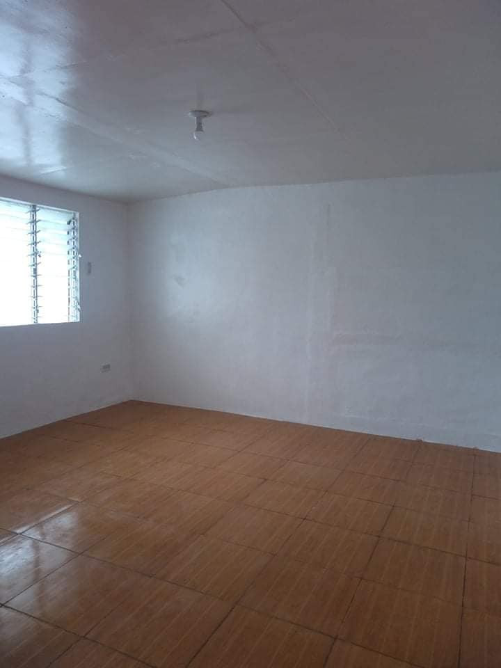 Gallery 4
