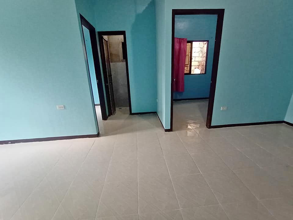 Gallery 2