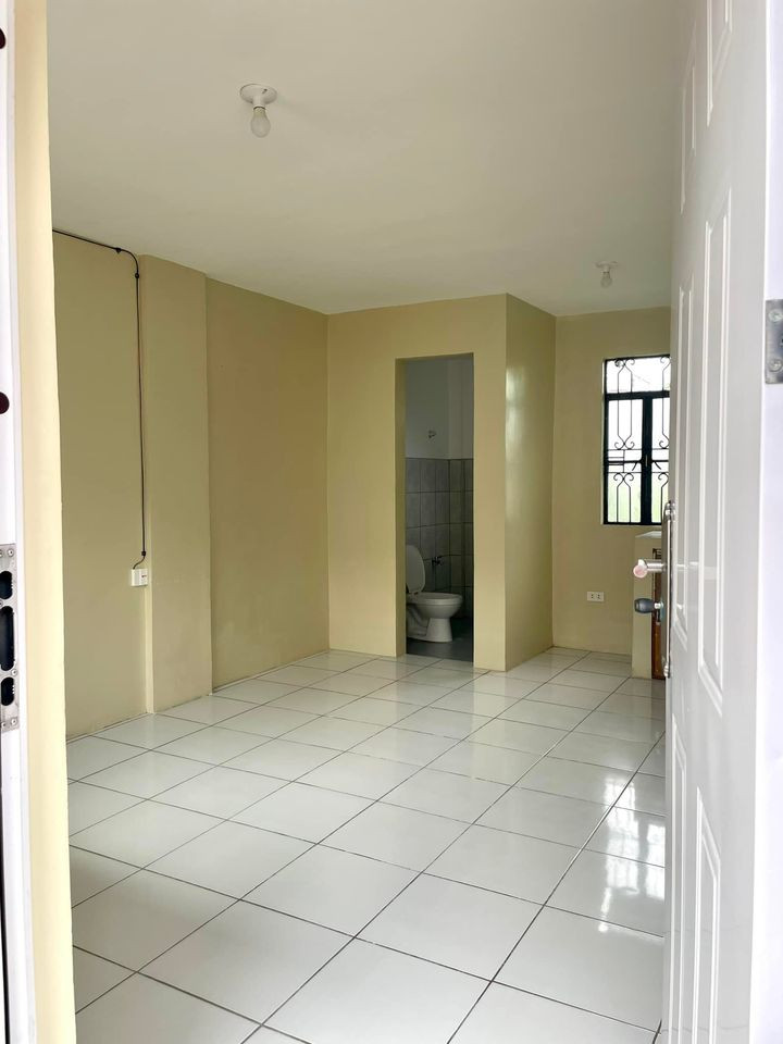 Gallery 3