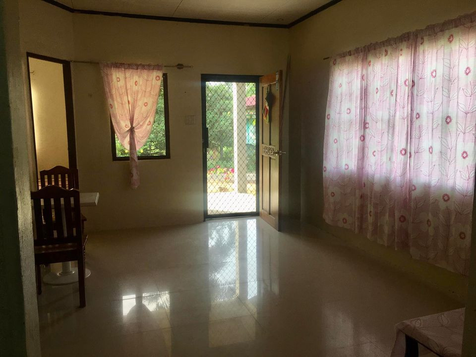 Gallery 3