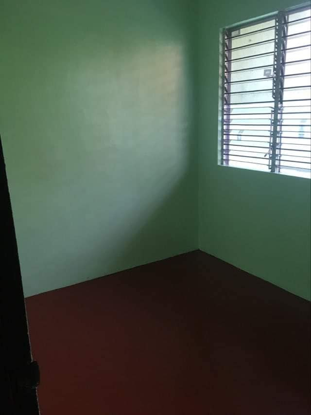 Gallery 5